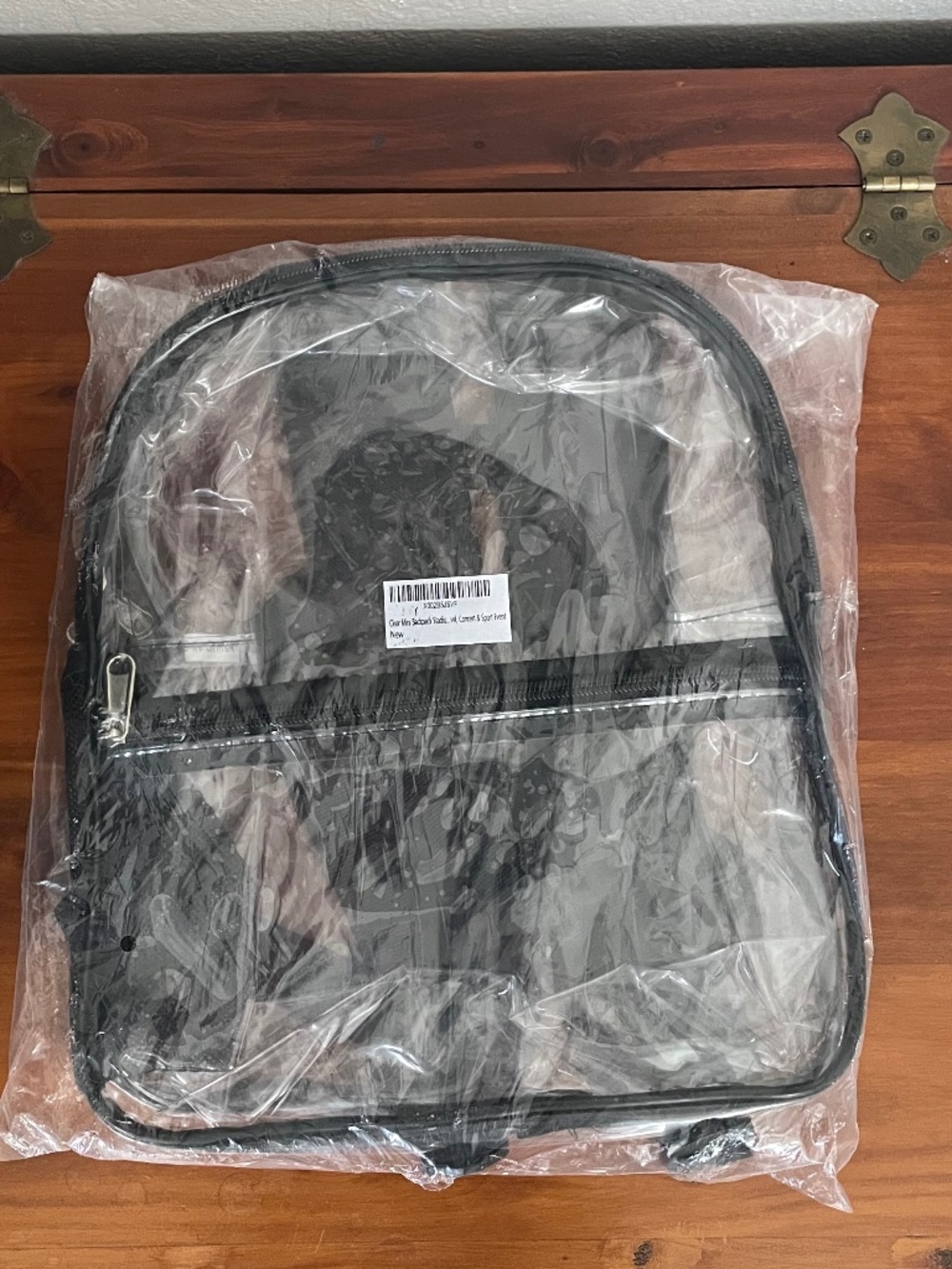 NWT Clear Adjustable Back Pack with pockets 12"x11"